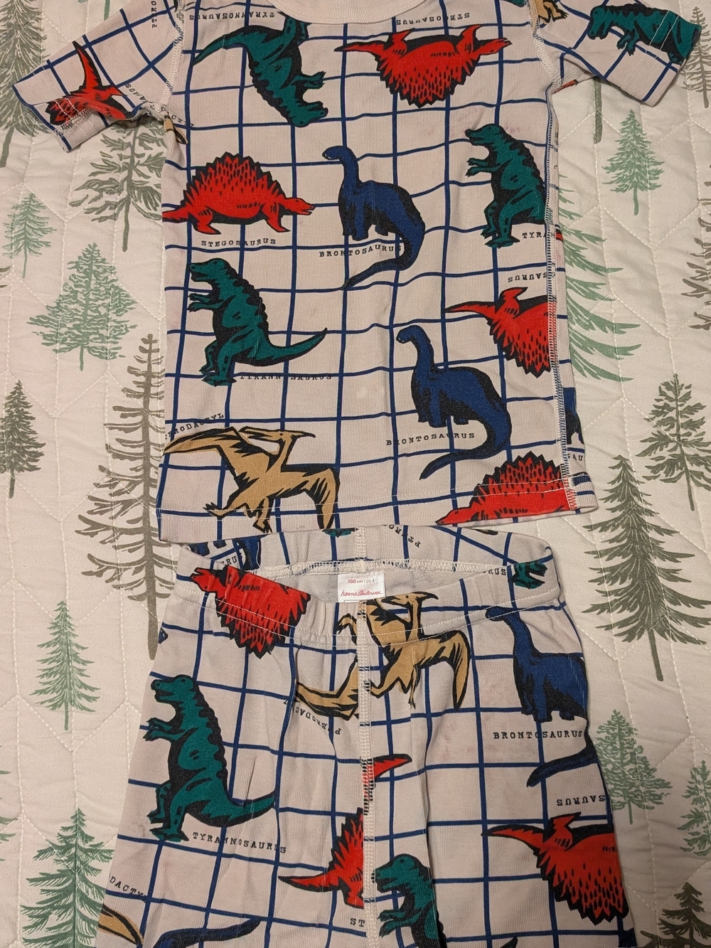 Kids Dinosaur Pajama